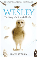 Wesley - The Story of a Remarkable Owl (O'Brien Stacey)(Paperback / softback)