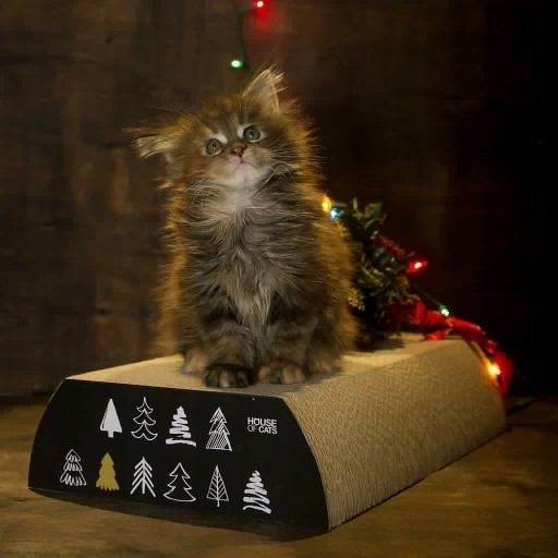 Škrabadlo lepenka Pelíšek od House of Cats Vánoce