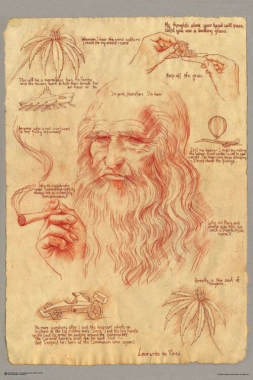 CLOSE UP Plakát, Obraz - Leonardo Smoking Pot, (61 x 91.5 cm)