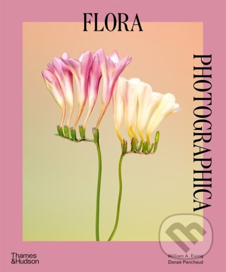 Flora Photographica - William A. Ewing