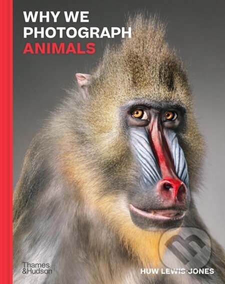 Why We Photograph Animals - Huw Lewis-Jones