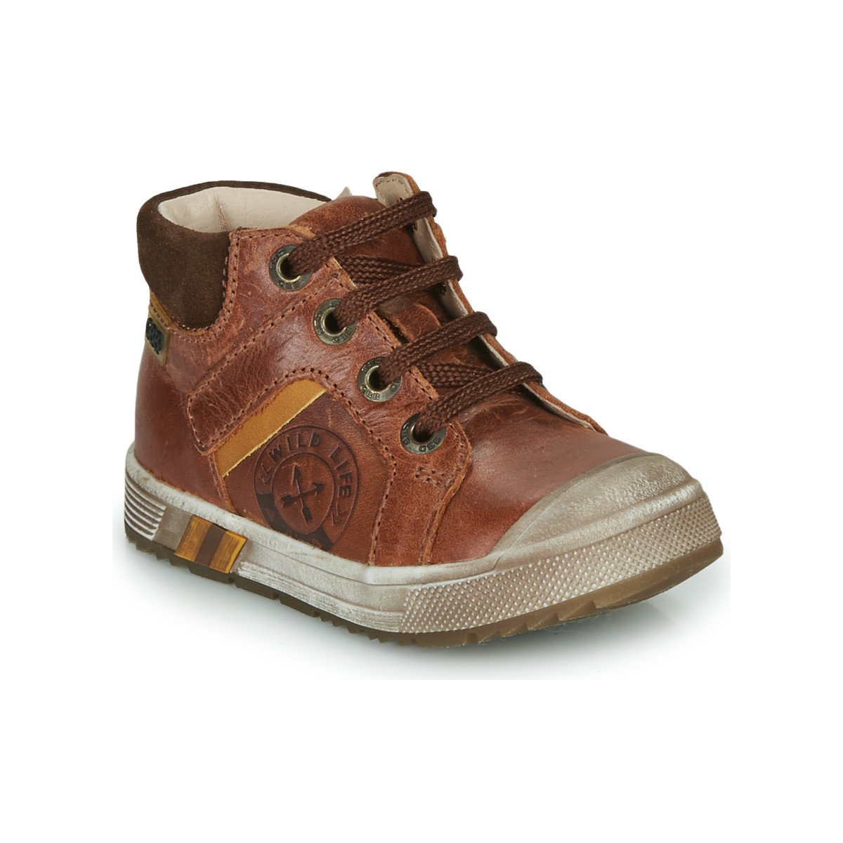 GBB  OLANGO  Hnědá