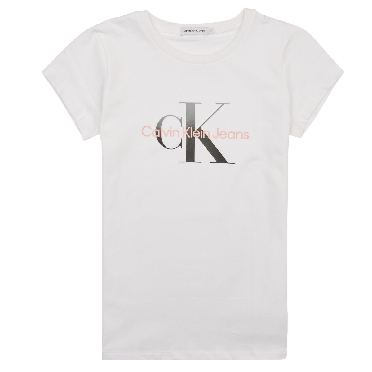 Calvin Klein Jeans  GRADIENT MONOGRAM T-SHIRT  Bílá