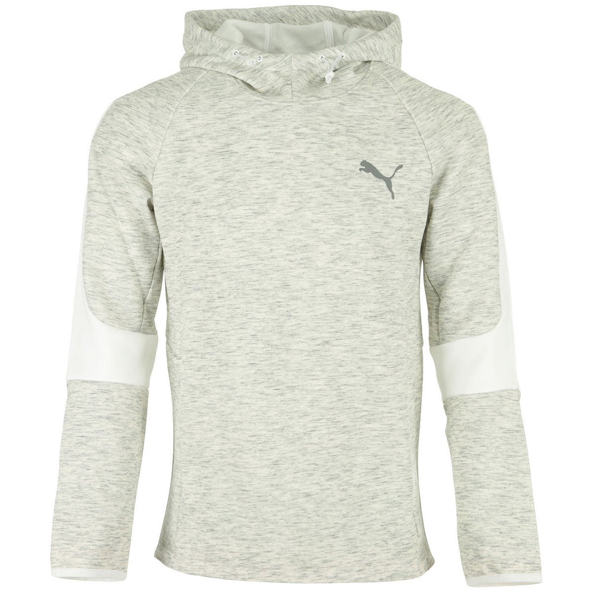 Puma  Evostripe Hoodie  Šedá