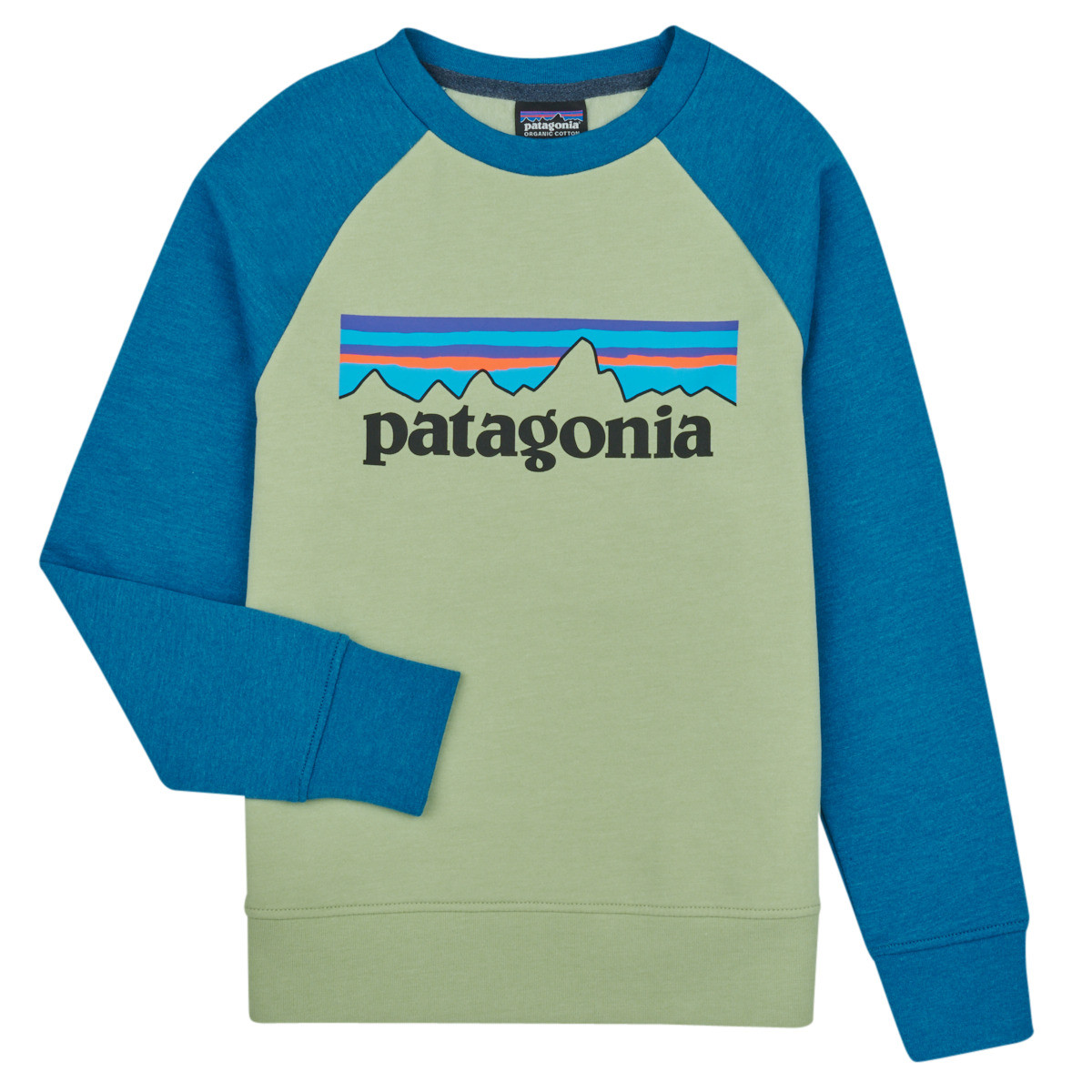 Patagonia  K's LW Crew Sweatshirt  ruznobarevne