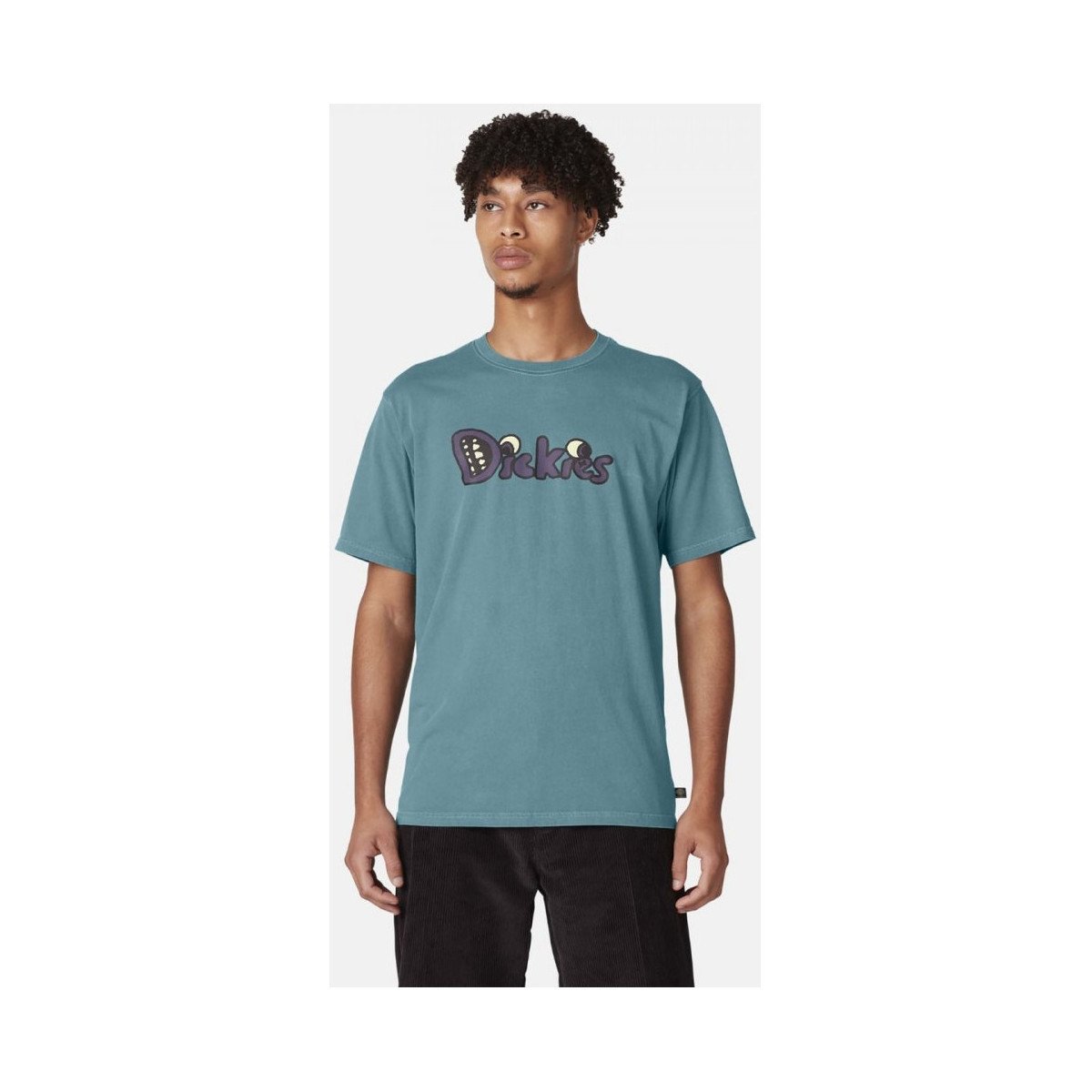 Dickies  M franky ss graphic tee  Zelená