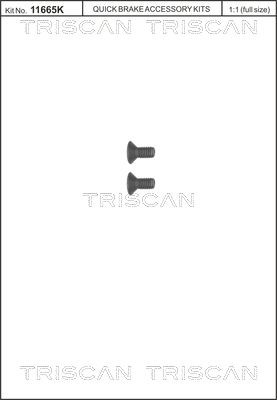 Šroub QUICK BRAKE M8x1.25, na brzdové kotouče