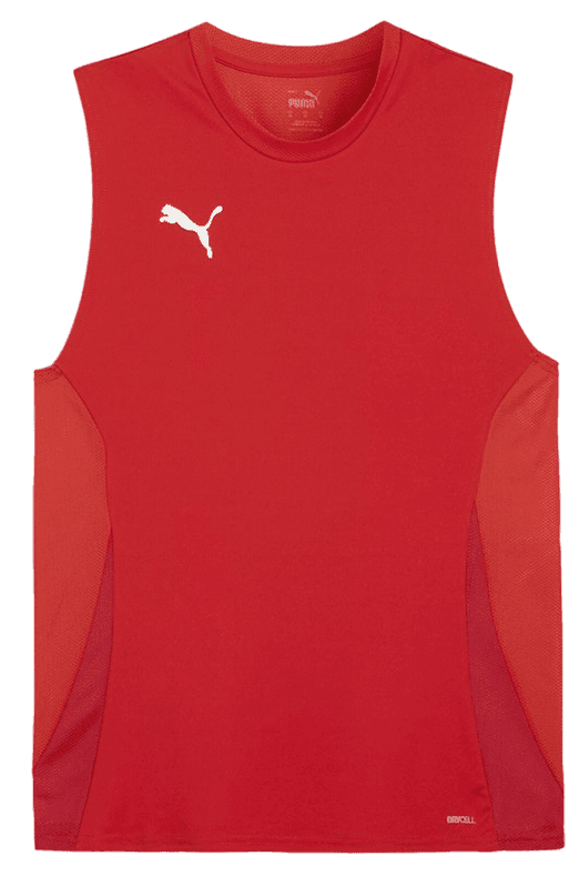 Dres Puma teamGOAL Sleeveless Jersey