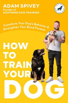 How to Train Your Dog: Transform Your Dog's Behavior and Strengthen Your Bond Forever a Dog Training Book (Spivey Adam)(Paperback)