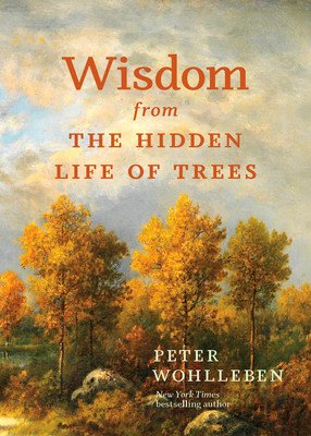 Wisdom from the Hidden Life of Trees (Wohlleben Peter)(Pevná vazba)