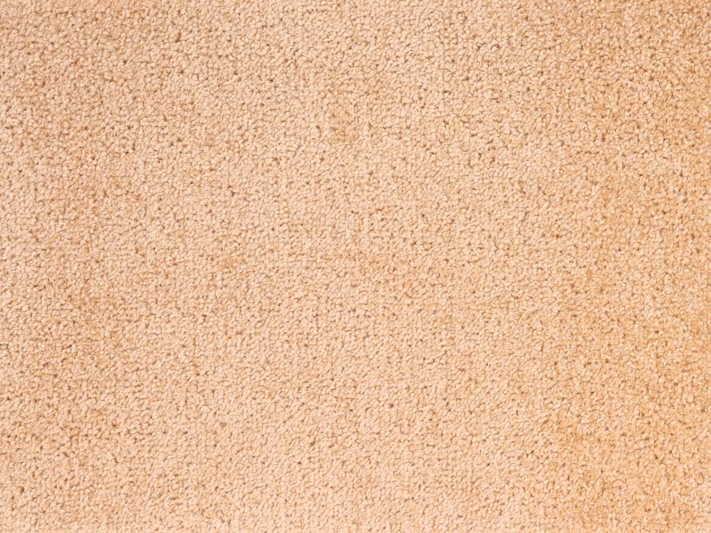AKCE: 100x250 cm Metrážový koberec Dynasty 70 - Bez obšití cm Aladin Holland carpets