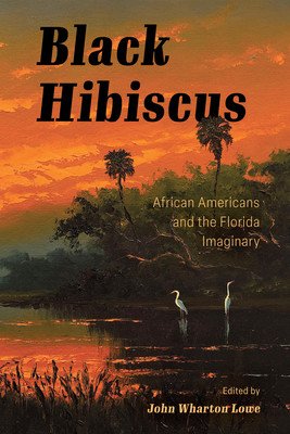 Black Hibiscus: African Americans and the Florida Imaginary (Lowe John Wharton)(Paperback)