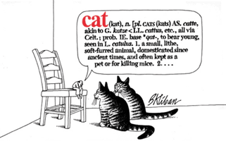 Cat (Kliban B.)(Paperback / softback)