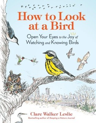 How to Look at a Bird: Open Your Eyes to the Joy of Watching and Knowing Birds (Leslie Clare Walker)(Paperback)