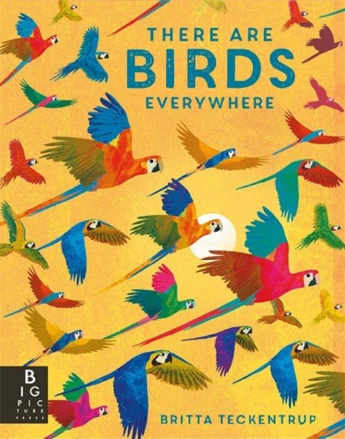 There are Birds Everywhere (Bedoyere Camilla De La)(Paperback / softback)