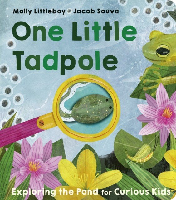 One Little Tadpole (Littleboy Molly)(Board book)