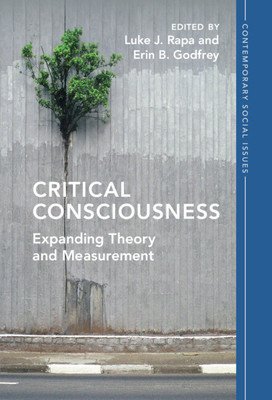 Critical Consciousness (Rapa Luke J.)(Paperback)