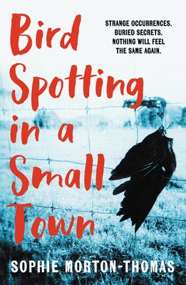 Bird Spotting in a Small Town (Morton-Thomas Sophie)(Paperback)