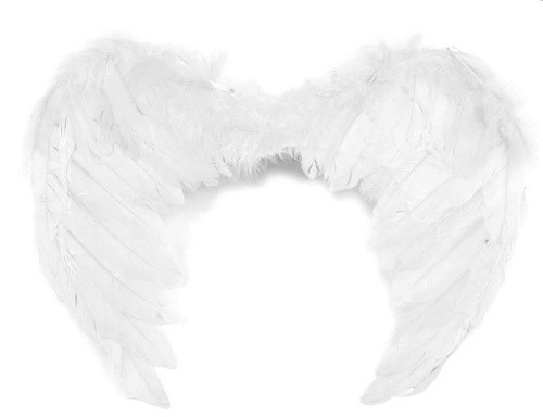 Andělská křídla malá - 45 x 35 cm