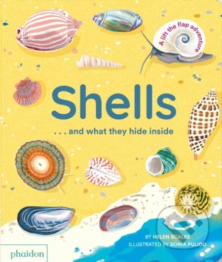 Shells... and what they hide inside - Helen Scales, Sonia Pulido (ilustrátor)