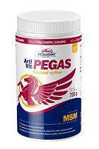 Nomaad ArtiVit Pegas MSM 720g