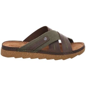 Rohde  Foggia  Zelená