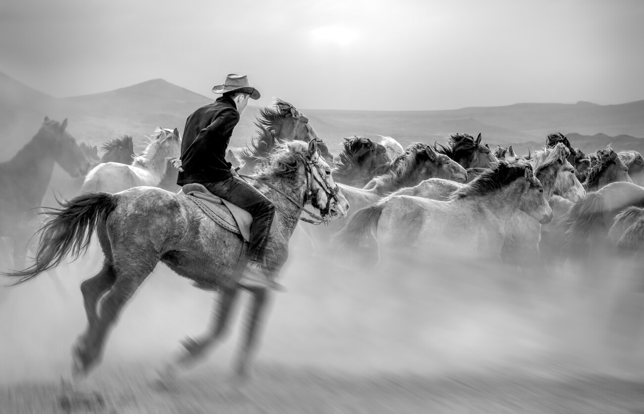 Yabani atlar Mustafa Umělecká fotografie Running Horses, Yabani atlar Mustafa, (40 x 26.7 cm)