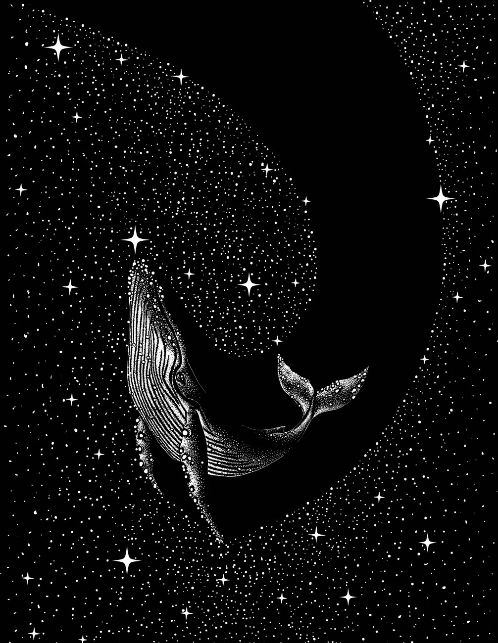 Aliriza Cakir Ilustrace Starry Whale, Aliriza Cakir, (30 x 40 cm)