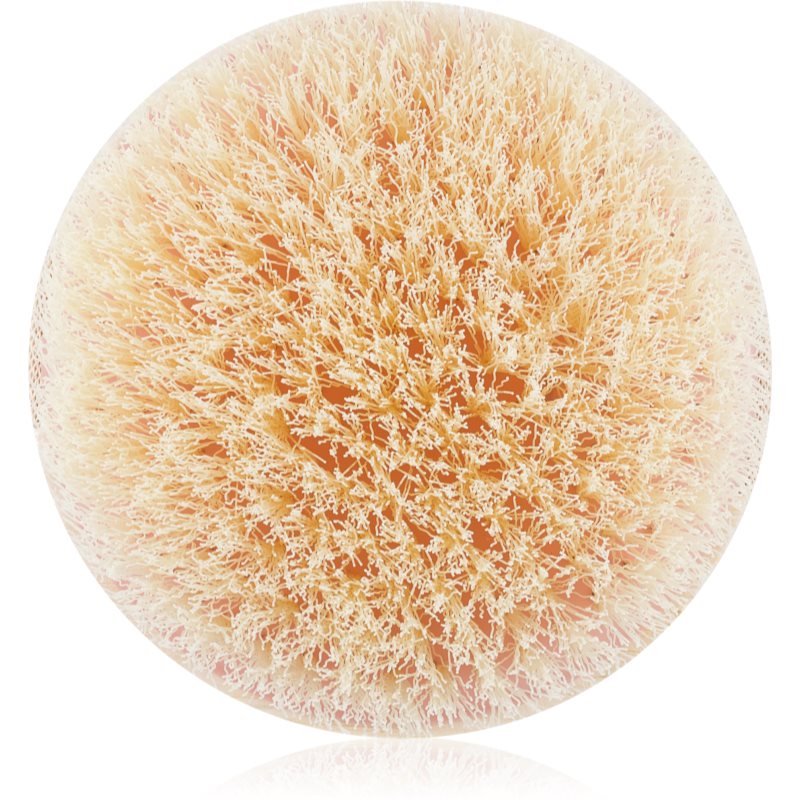 EcoTools Bath & Shower Dry Body exfoliační suchý kartáč 1 ks
