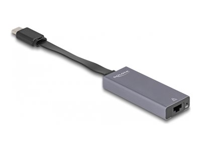 Delock - Síťový adaptér - USB-C 3.2 Gen 1 - 2.5GBase-T x 1 - antracit