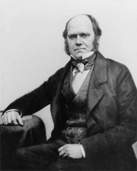 English Photographer, Umělecká fotografie Portrait of Charles Darwin, 1854, English Photographer,, (30 x 40 cm)