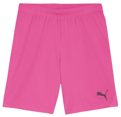 Šortky Puma  teamGOAL Short W