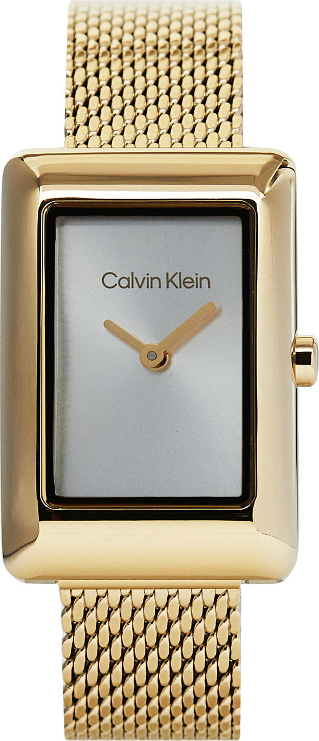 Hodinky Calvin Klein Styled 25200396 Gold/Grey