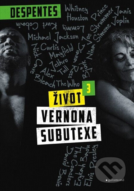 Život Vernona Subutexe 3 - Virginie Despentes