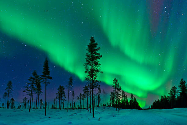 Dave Moorhouse Umělecká fotografie Aurora Borealis  Northern Lights Sweden, Dave Moorhouse, (40 x 26.7 cm)