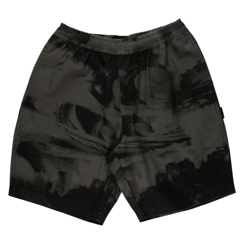 kraťasy SANTA CRUZ - Painters Short Black Crash (BLACK CRASH)