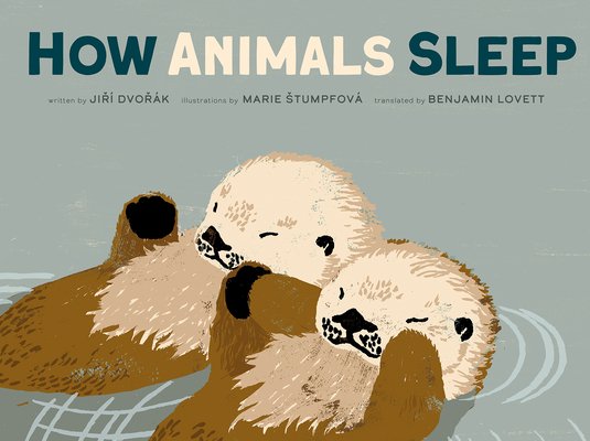 How Animals Sleep (Dvorak Jiri)(Pevná vazba)