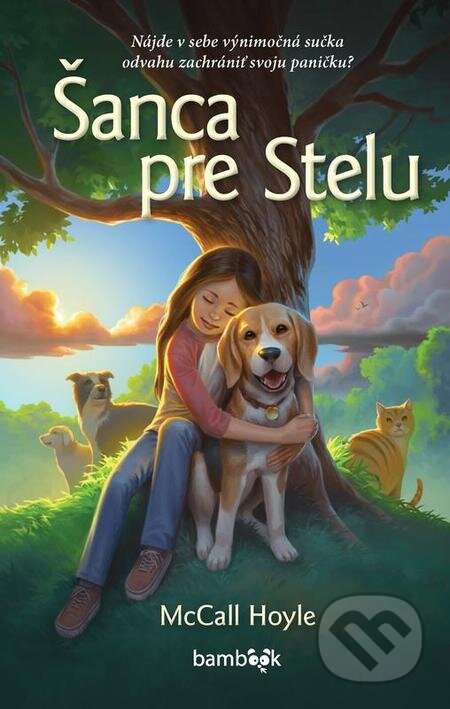 Šanca pre Stelu - McCall Hoyle