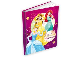 Památník MFP Disney Princess (Defekt)