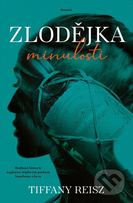 Zlodějka minulosti - Tiffany Reisz