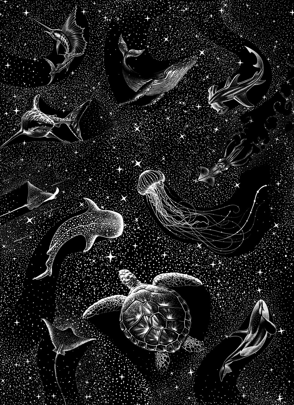Aliriza Cakir Ilustrace Cosmic ocean, Aliriza Cakir, (30 x 40 cm)
