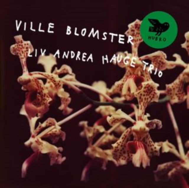 Ville Blomster (Liv Andrea Hauge Trio) (Vinyl / 12