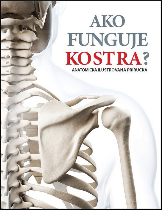 Ako funguje kostra?