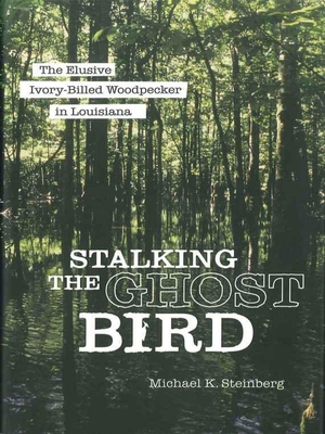 Stalking the Ghost Bird: The Elusive Ivory-Billed Woodpecker in Louisiana (Steinberg Michael K.)(Paperback)