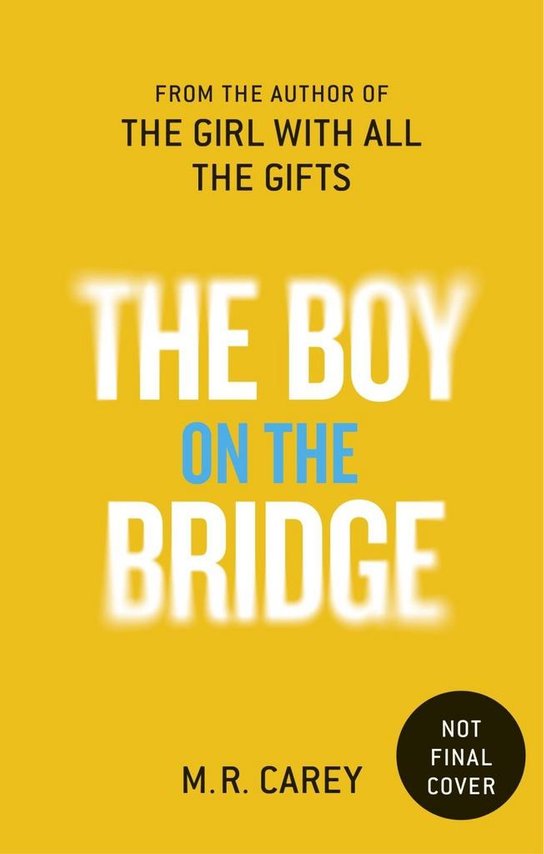 The Boy on the Bridge