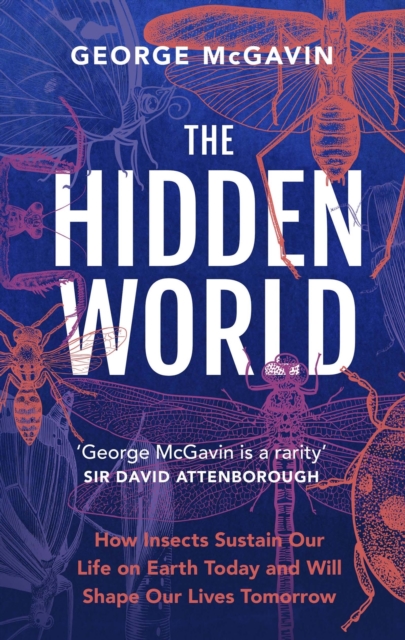 Hidden World - How Insects Sustain Life on Earth Today and Will Shape Our Lives Tomorrow (McGavin George)(Paperback / softback)