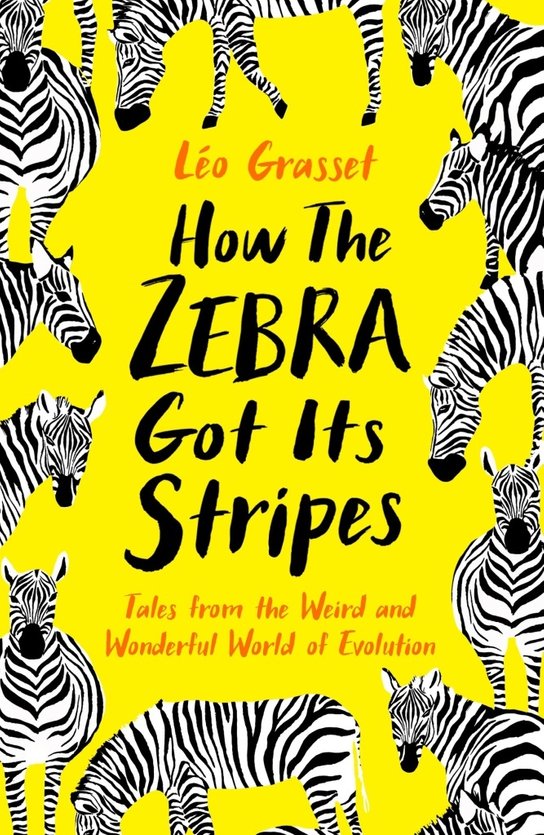 How the Zebra Got its Stripes