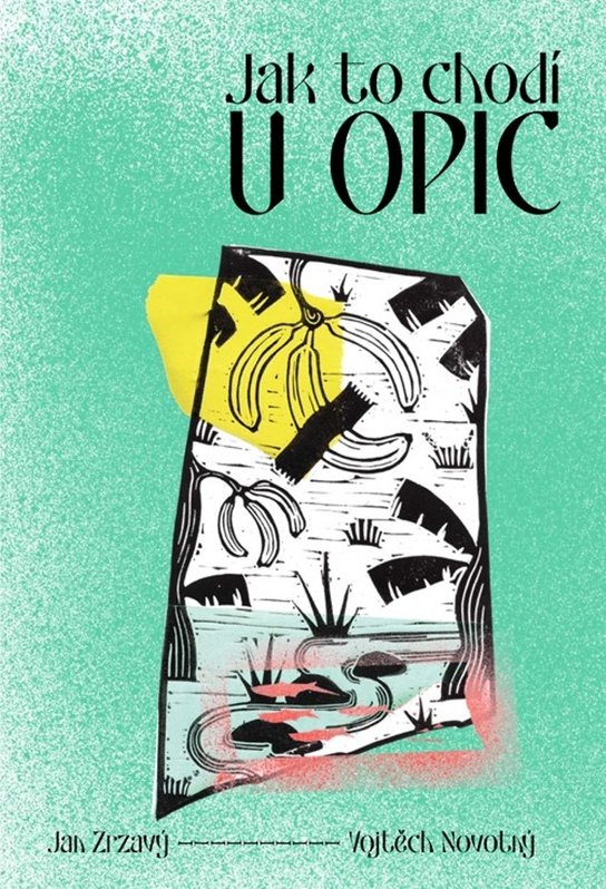 Jak to chodí u opic