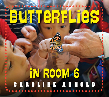 Butterflies in Room 6: See How They Grow (Arnold Caroline)(Paperback)