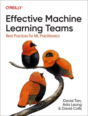 Effective Machine Learning Teams: Best Practices for ML Practitioners (Tan David)(Paperback)